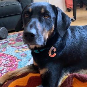 Meet your Posher, Jessica